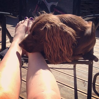 Nixon Newell feet photo 2