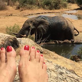 Noa Tishby feet photo 5