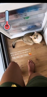 Nochtli Peralta Alvarez feet photo thumbnail