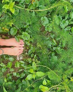 Noel Berry feet photo 9