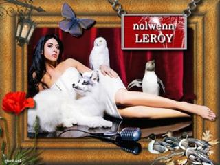 Nolwenn Leroy feet photo 1