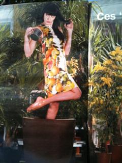 Nolwenn Leroy feet photo 14