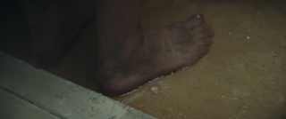 Nora Arnezeder feet photo thumbnail