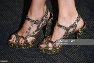 Nora Zehetner feet photo 20