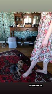 Nora Zehetner feet photo 13
