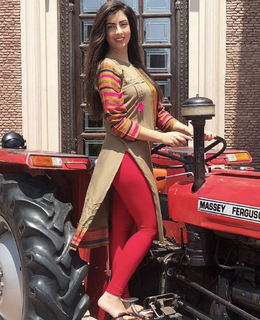 Noreen Khan feet photo 17