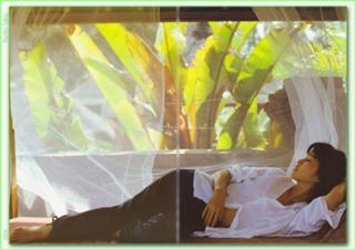 Noriko Sakai feet photo 5