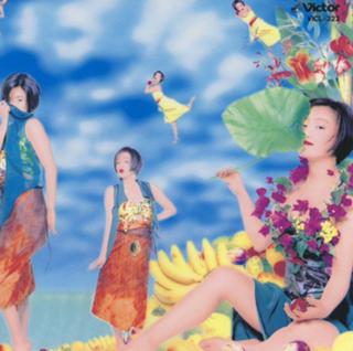 Noriko Sakai feet photo 13