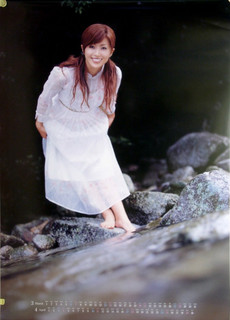 Noriko Sakai feet photo 16