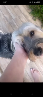 Noumidia feet photo thumbnail