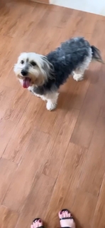 Noumidia feet photo thumbnail