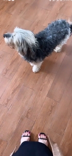 Noumidia feet photo thumbnail