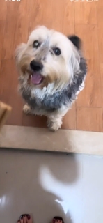 Noumidia feet photo thumbnail