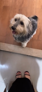 Noumidia feet photo thumbnail