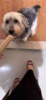 Noumidia feet photo thumbnail