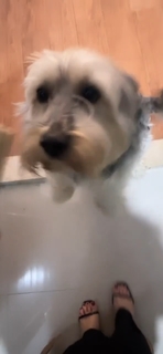 Noumidia feet photo thumbnail