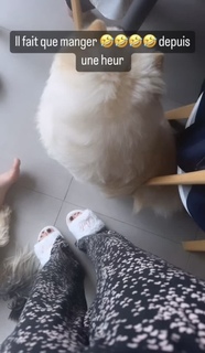 Noumidia feet photo thumbnail