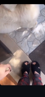Noumidia feet photo thumbnail
