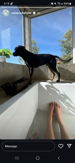 Nova Rockafeller feet photo 4