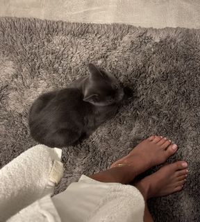 Nova Sarrailh feet photo 1