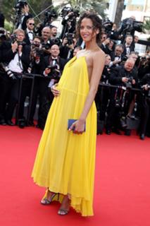 Noémie Lenoir feet photo thumbnail