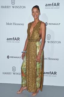 Noémie Lenoir feet photo thumbnail