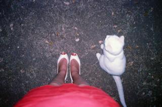 Noël Wells feet photo 13