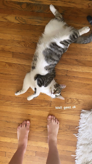 Noël Wells feet photo 11