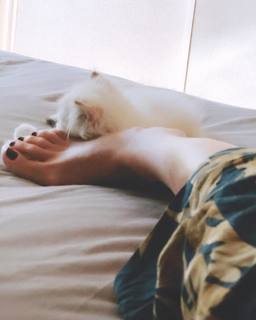 Nunzia De Girolamo feet photo 9