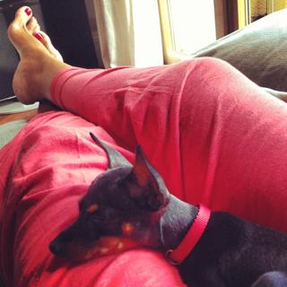 Nuria Roca feet photo 5