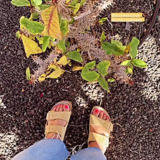 Nuria Roca feet photo 5