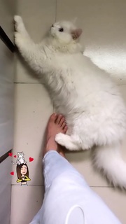 Nushrratt Bharuccha feet photo thumbnail