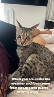 Nushrratt Bharuccha feet photo thumbnail