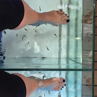 Ofira Asayag feet photo 10
