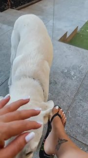 Ofira Asayag feet photo 18