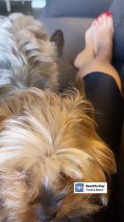 Ofira Asayag feet photo 9