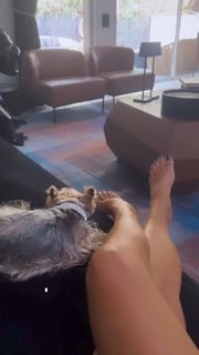 Ofira Asayag feet photo 13