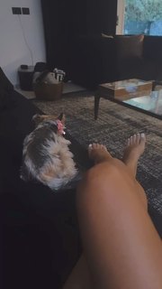 Ofira Asayag feet photo 16