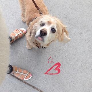 Olesya Rulin feet photo thumbnail