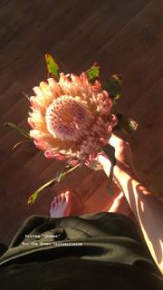 Olesya Rulin feet photo thumbnail