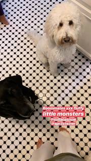 Olesya Rulin feet photo thumbnail