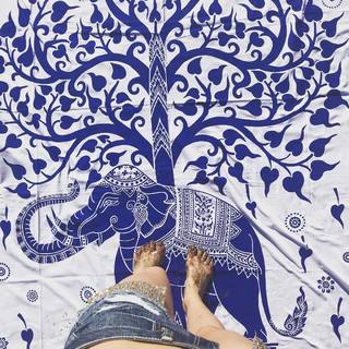 Olga Boladz feet photo 16