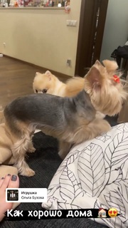 Olga Buzova feet photo thumbnail