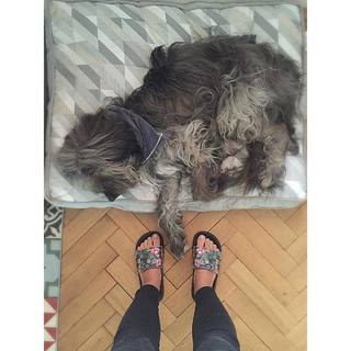Olga Frycz feet photo 16