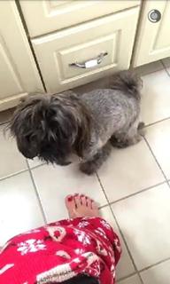 Olga Kay feet photo thumbnail