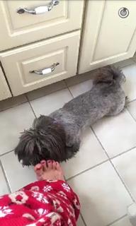Olga Kay feet photo thumbnail