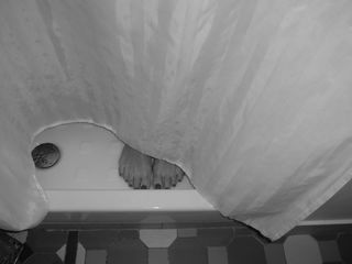 Olga Seryabkina feet photo thumbnail