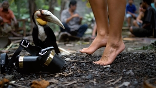Olga Seryabkina feet photo thumbnail