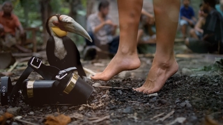 Olga Seryabkina feet photo thumbnail