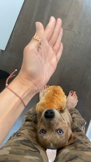 Olga Shelest feet photo 2